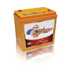 USAGM 2224 6V GC2 AGM Battery